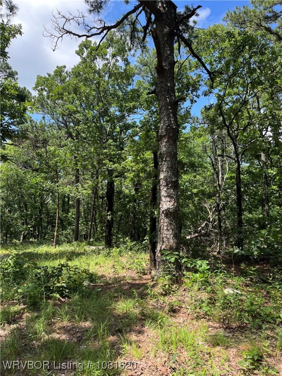 main property photo 13