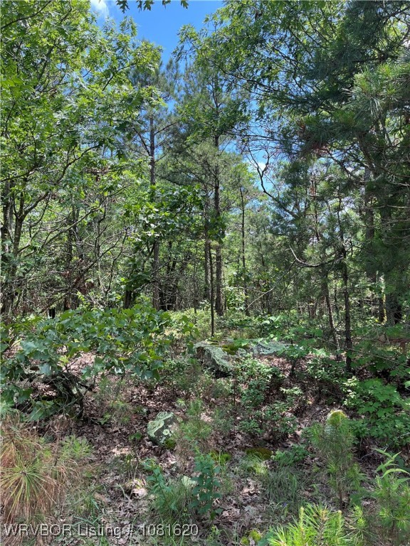main property photo 15