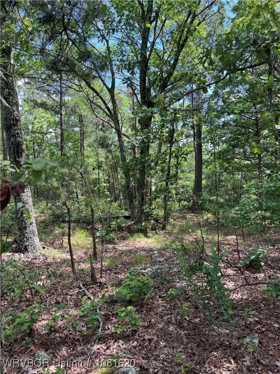 main property photo 16
