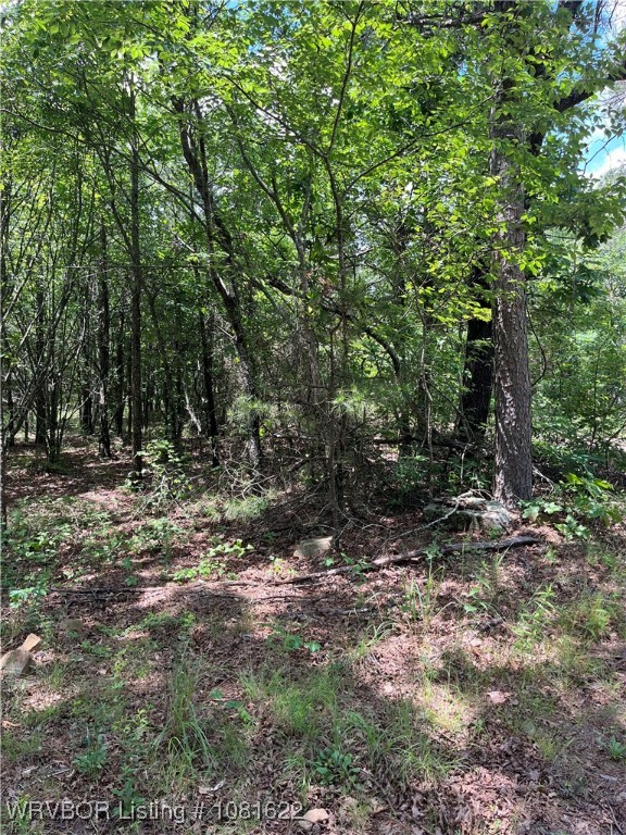 main property photo 10