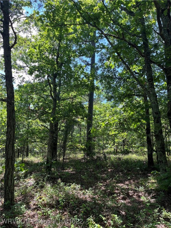 main property photo 13