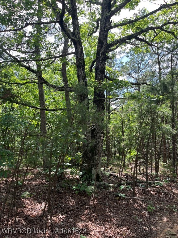 main property photo 16