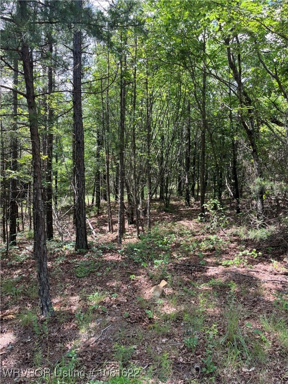 main property photo 18