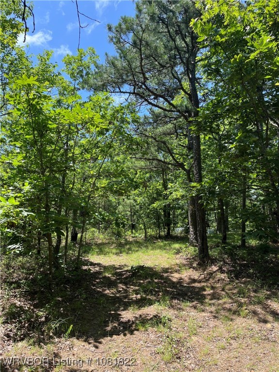 main property photo 22
