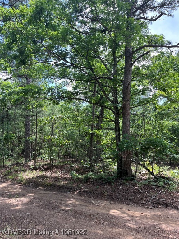 main property photo 6