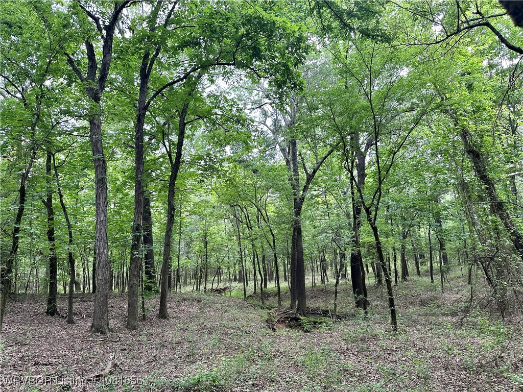 property viewer photo 10