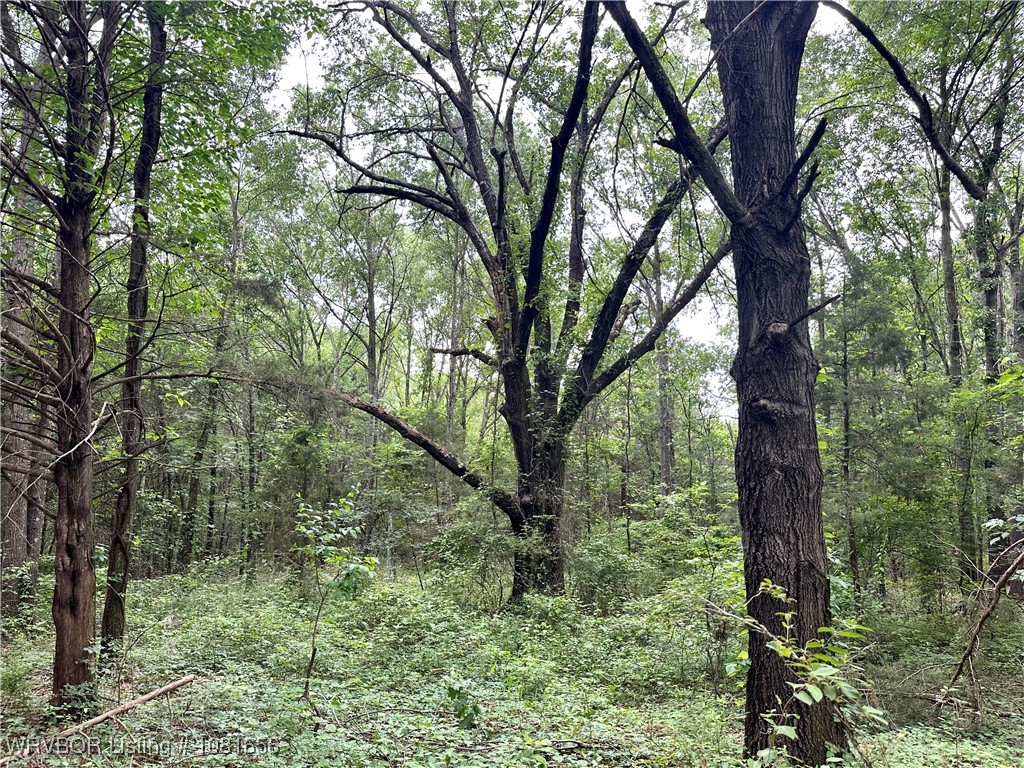property viewer photo 11