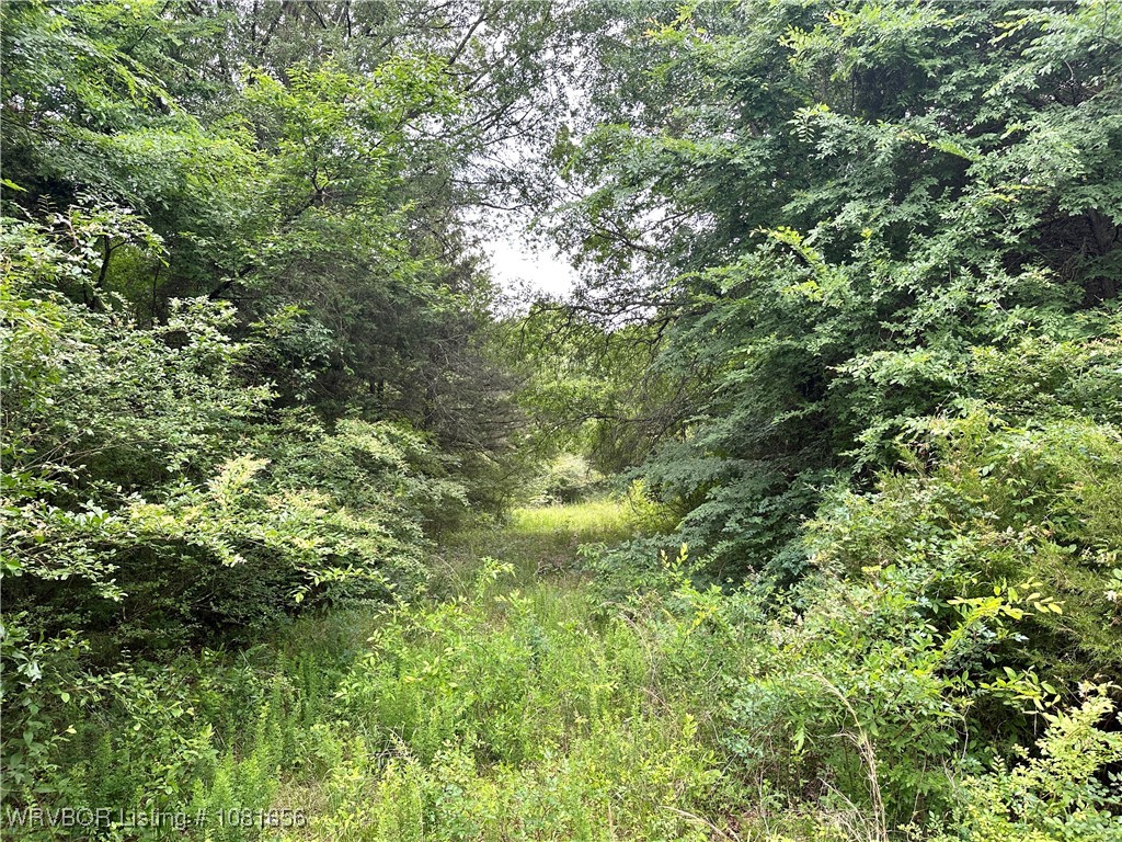 property viewer photo 12