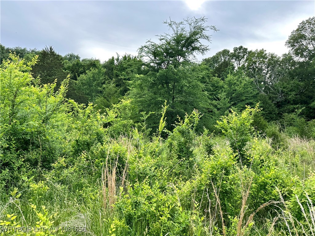 property viewer photo 20