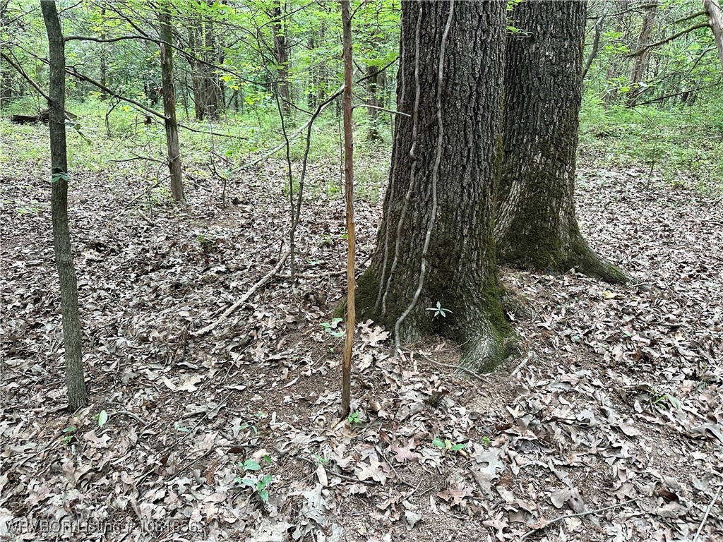 property viewer photo 24