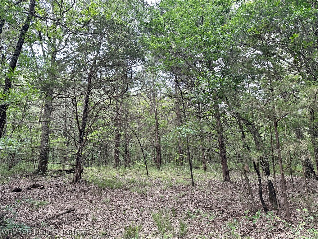 property viewer photo 25