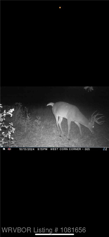 property viewer photo 31