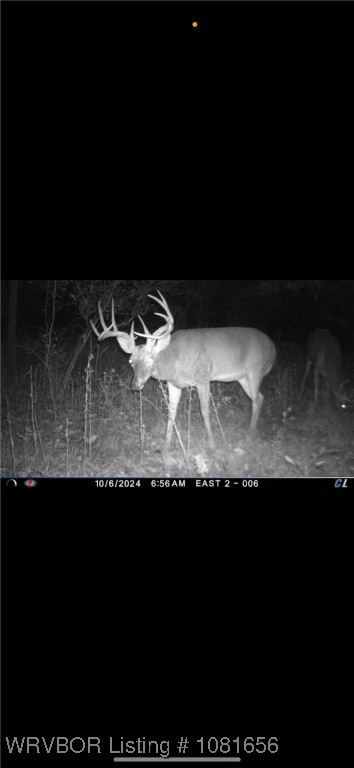 property viewer photo 32