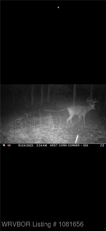property viewer photo 33