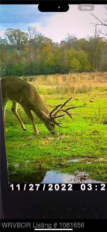 property viewer photo 34
