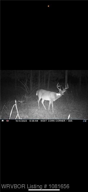 property viewer photo 35