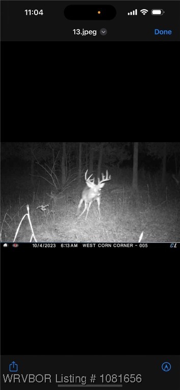 property viewer photo 36
