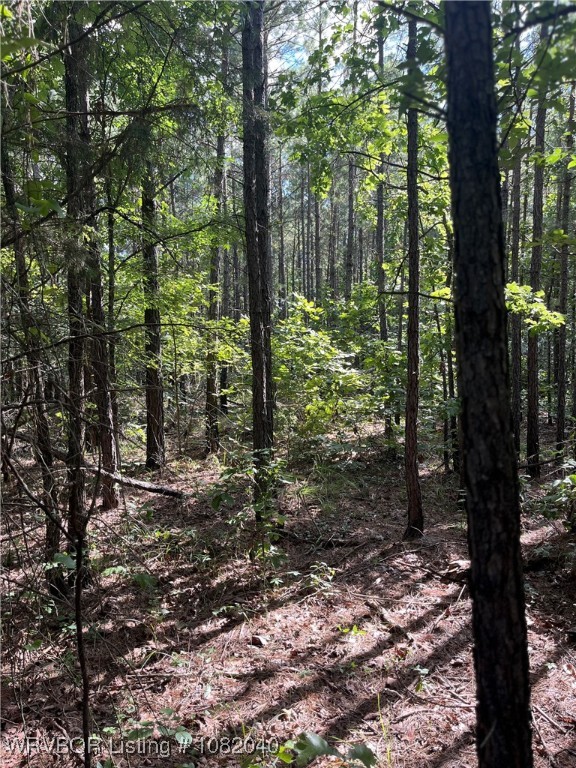 main property photo 10