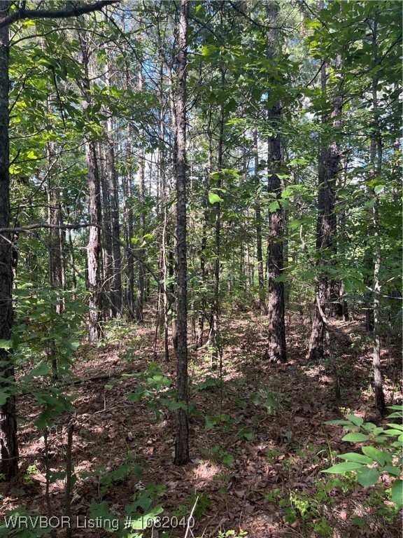 main property photo 11
