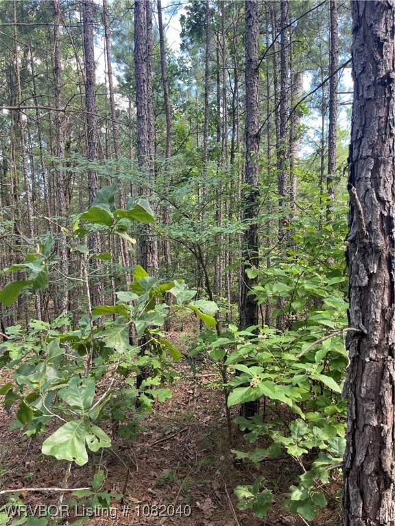 main property photo 16