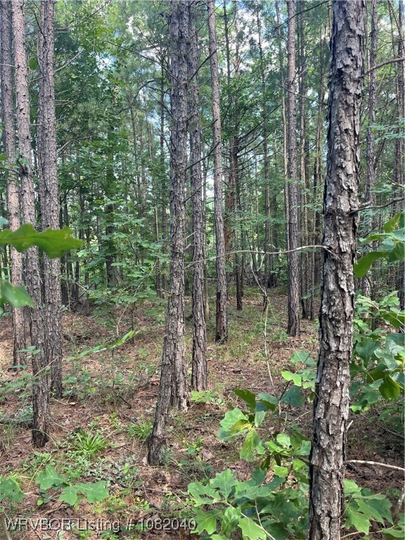 main property photo 17