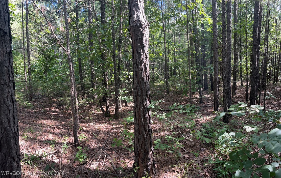 main property photo 6