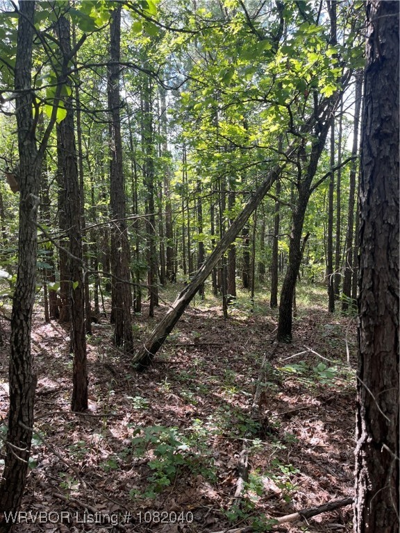main property photo 7