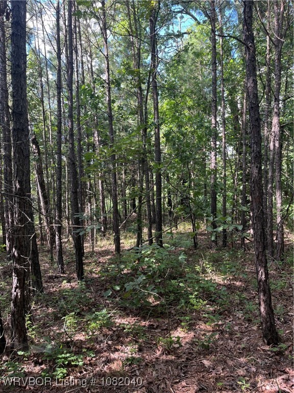 main property photo 8