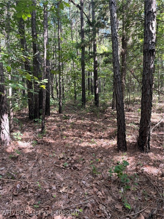 main property photo 9
