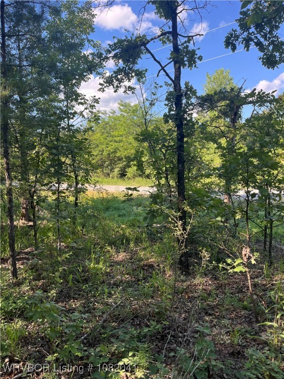 main property photo 0