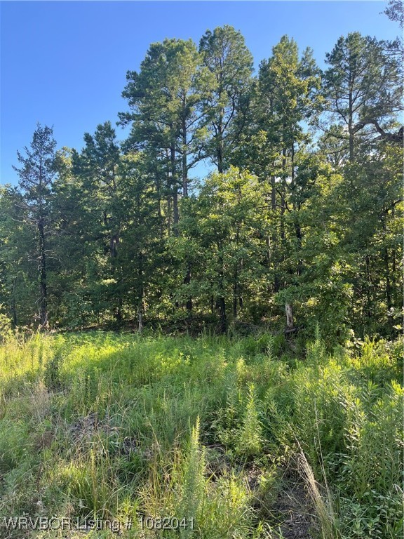 main property photo 10