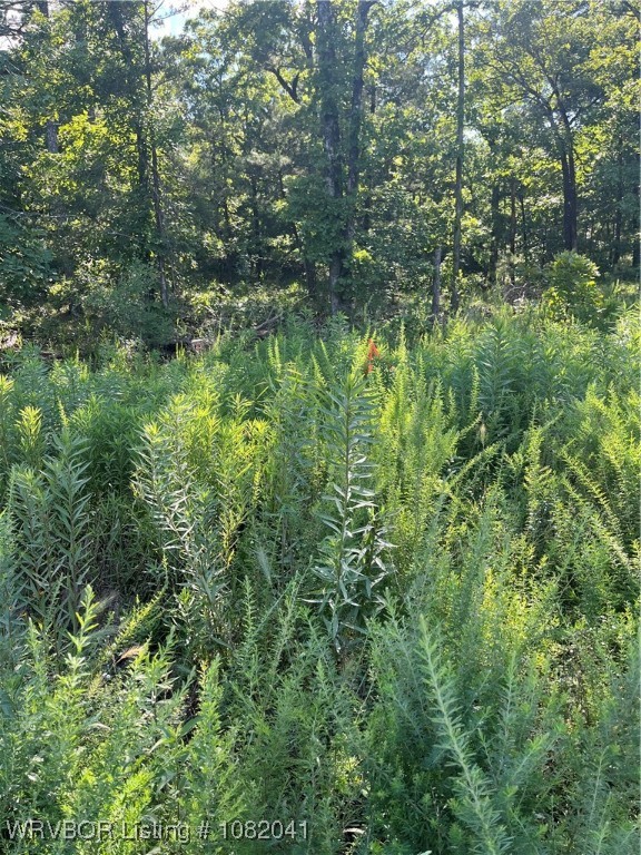 main property photo 11