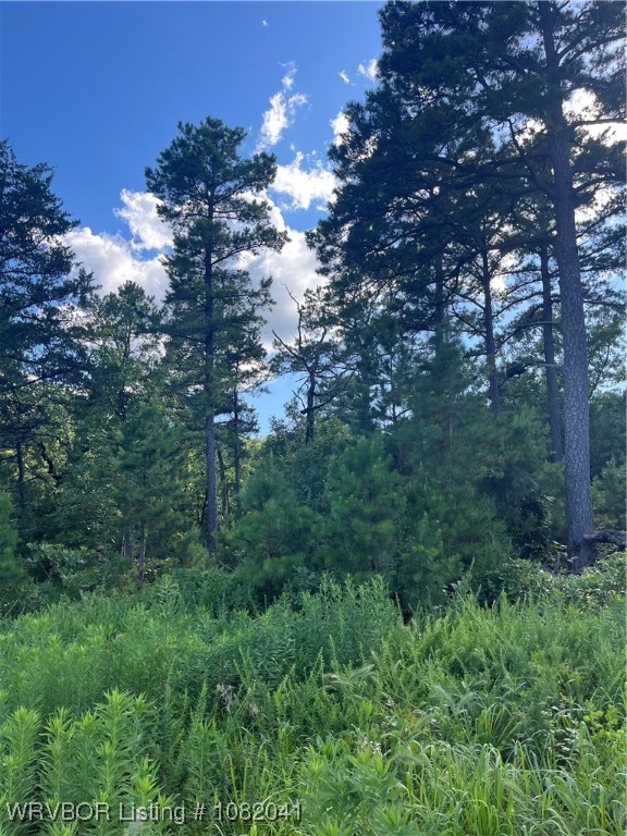 main property photo 12