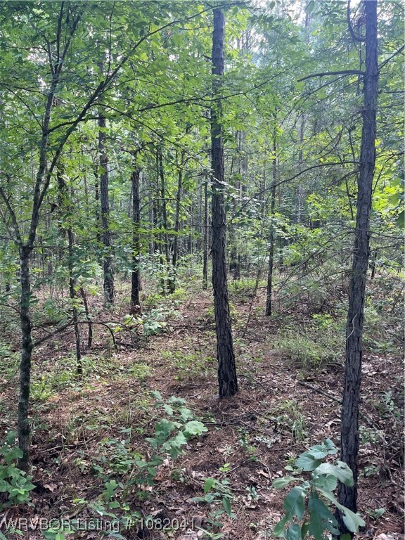 main property photo 13