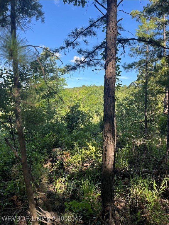 main property photo 0
