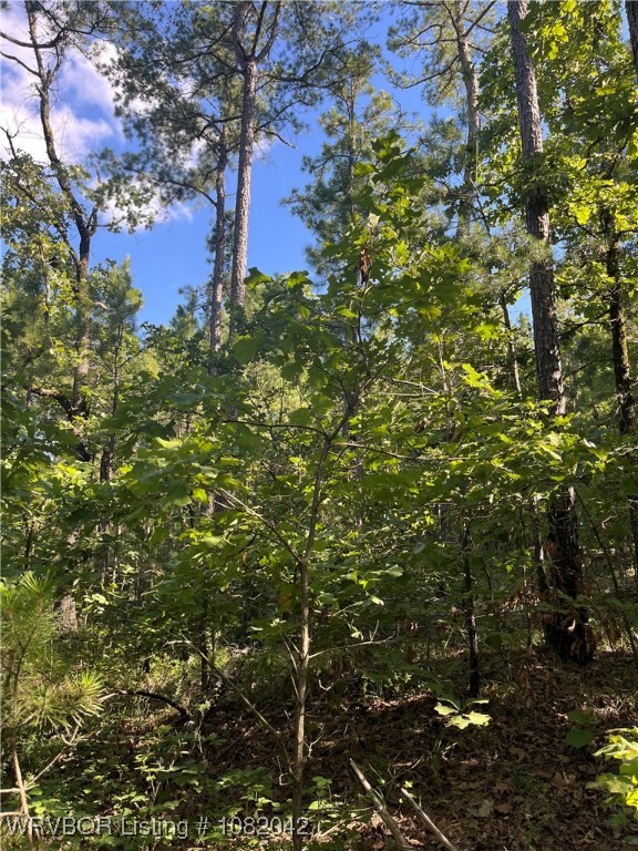 main property photo 10
