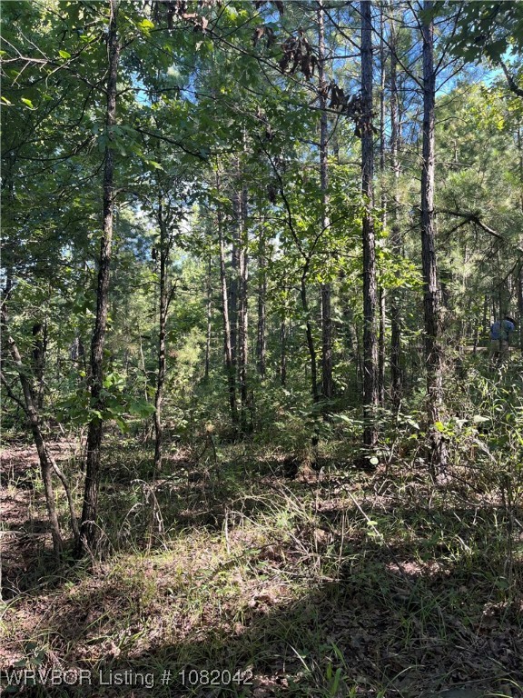 main property photo 14