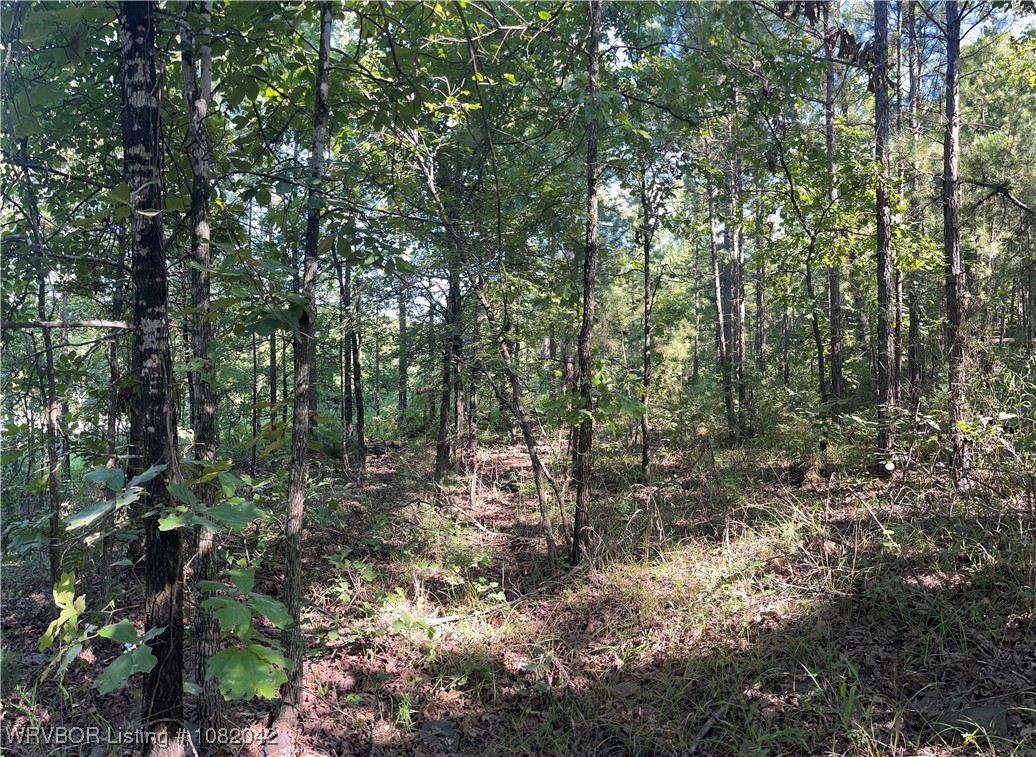 main property photo 15