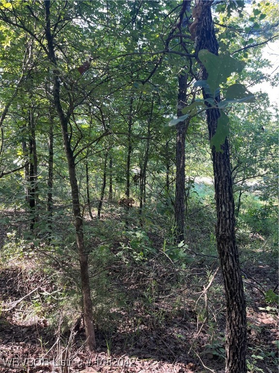 main property photo 16