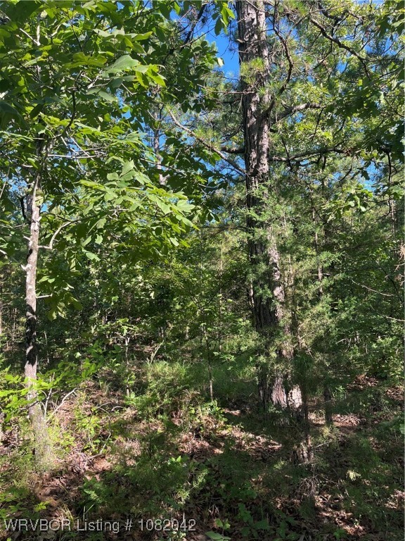 main property photo 19