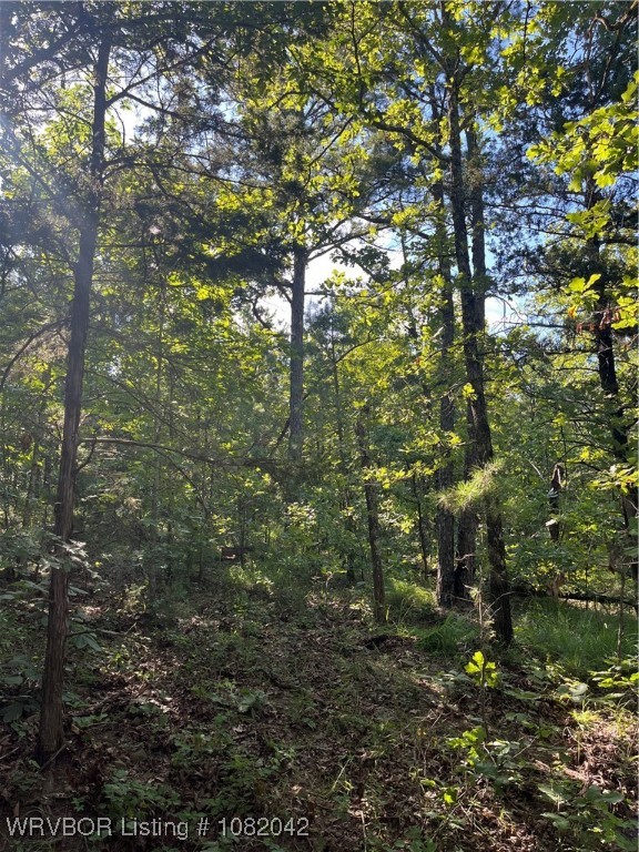 main property photo 6