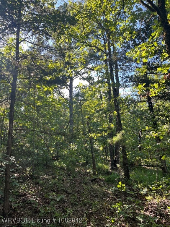 main property photo 7