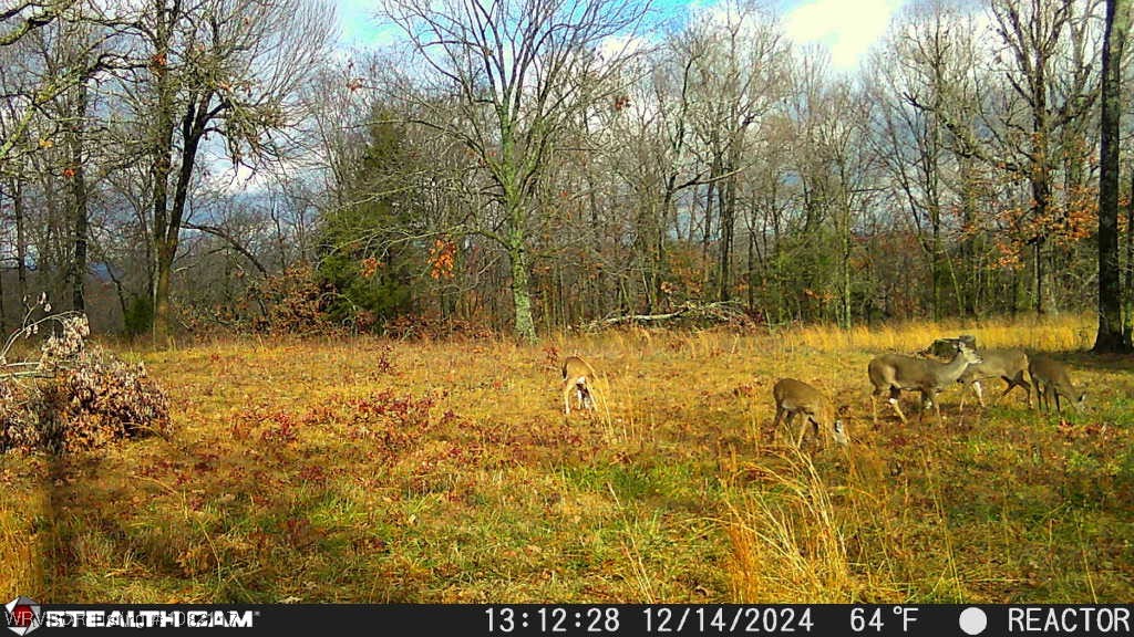 property viewer photo 10
