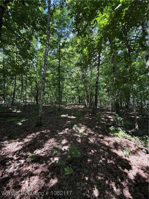 property viewer photo 8