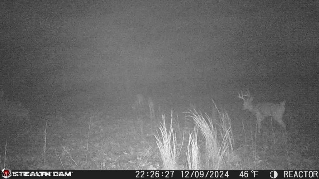 property viewer photo 9