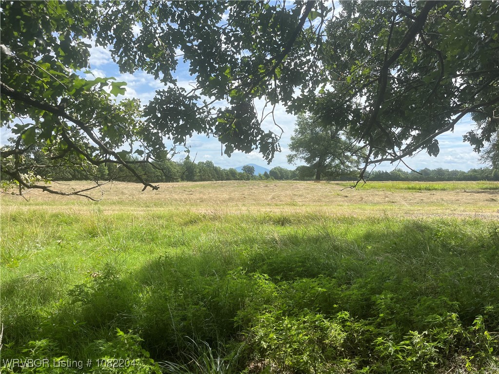 main property photo 0