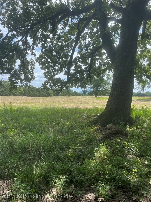 main property photo 10