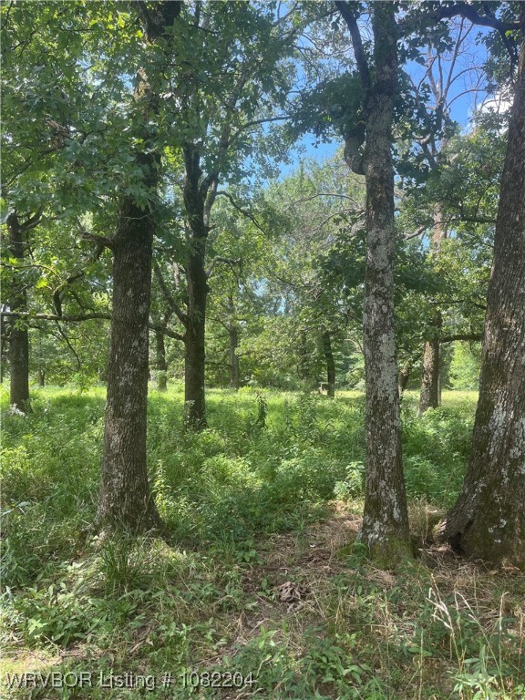 main property photo 9