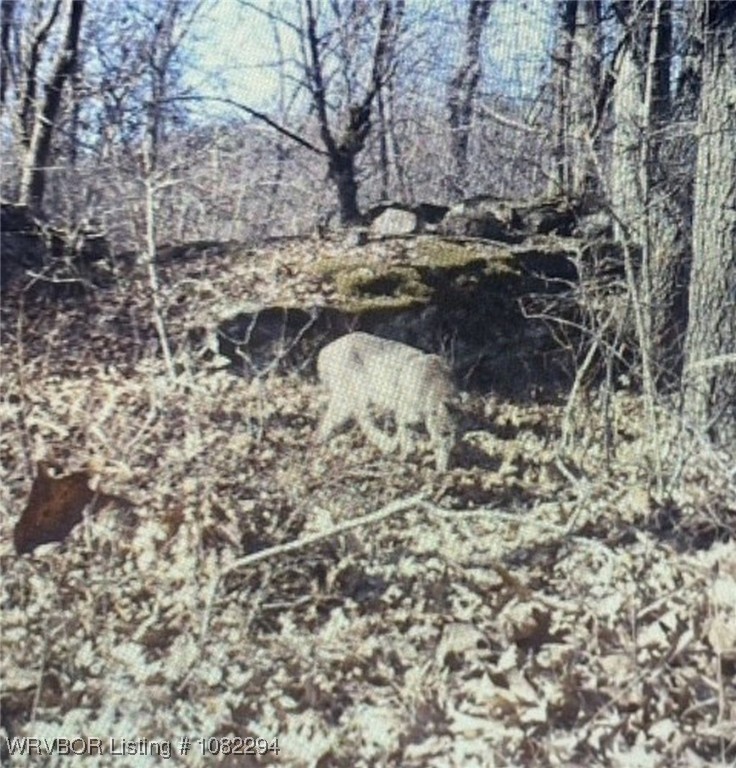 main property photo 44