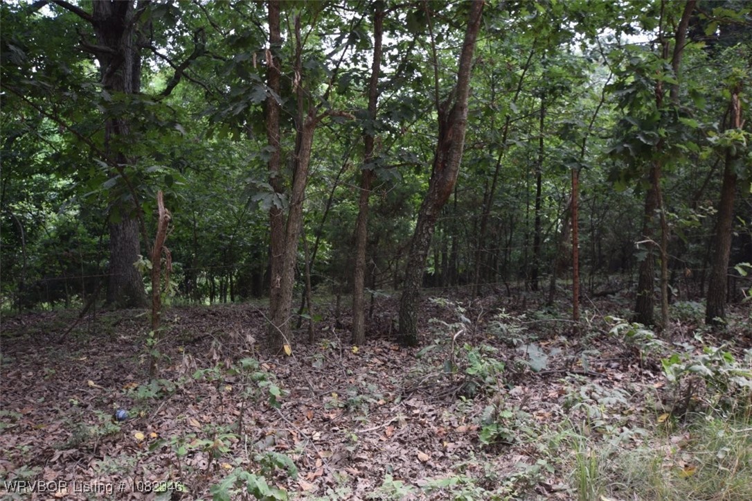 main property photo 10
